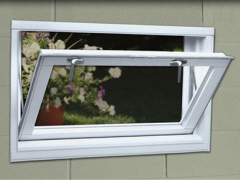 Basement Window